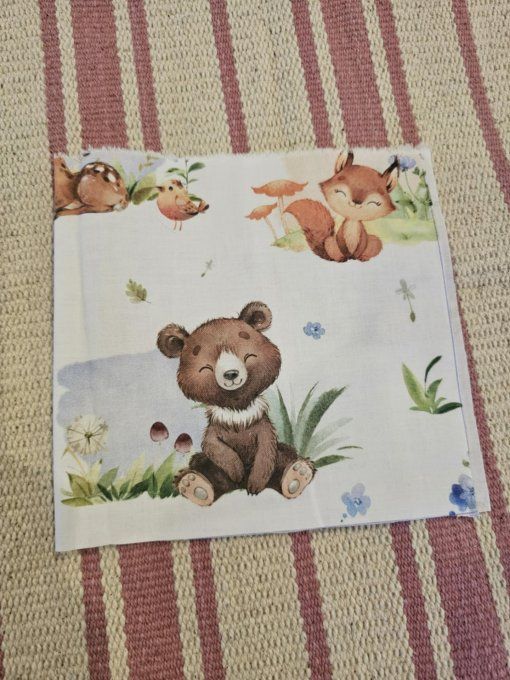 DESTOCKAGE - PROTEGE CARNET DE SANTE - Ours