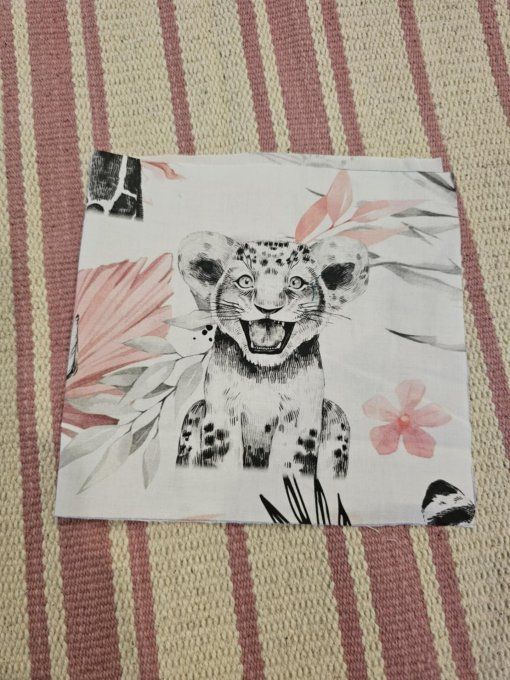 DESTOCKAGE - PROTEGE CARNET DE SANTE - Lion