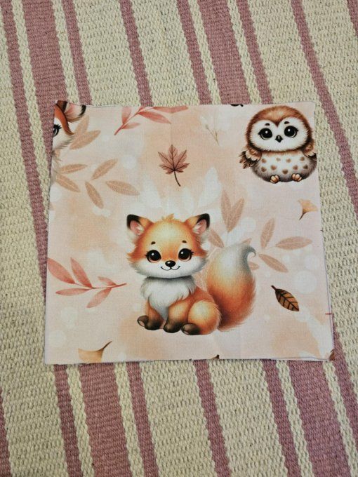 DESTOCKAGE - PROTEGE CARNET DE SANTE - Renard