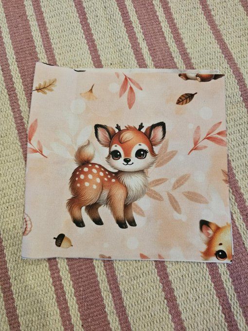 DESTOCKAGE - PROTEGE CARNET DE SANTE - Biche