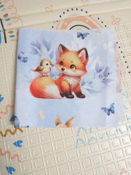 DESTOCKAGE - PROTEGE CARNET DE SANTE - Renard 