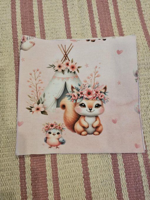 DESTOCKAGE - PROTEGE CARNET DE SANTE - Ecureuil 