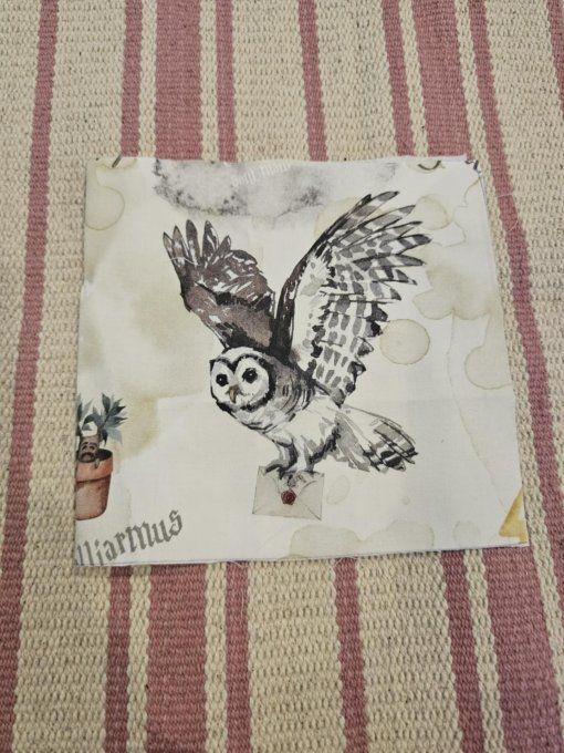 DESTOCKAGE - PROTEGE CARNET DE SANTE - Hibou