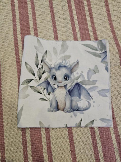 DESTOCKAGE - PROTEGE CARNET DE SANTE - Dragon