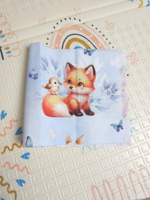 DESTOCKAGE - PROTEGE CARNET DE SANTE - Renard 