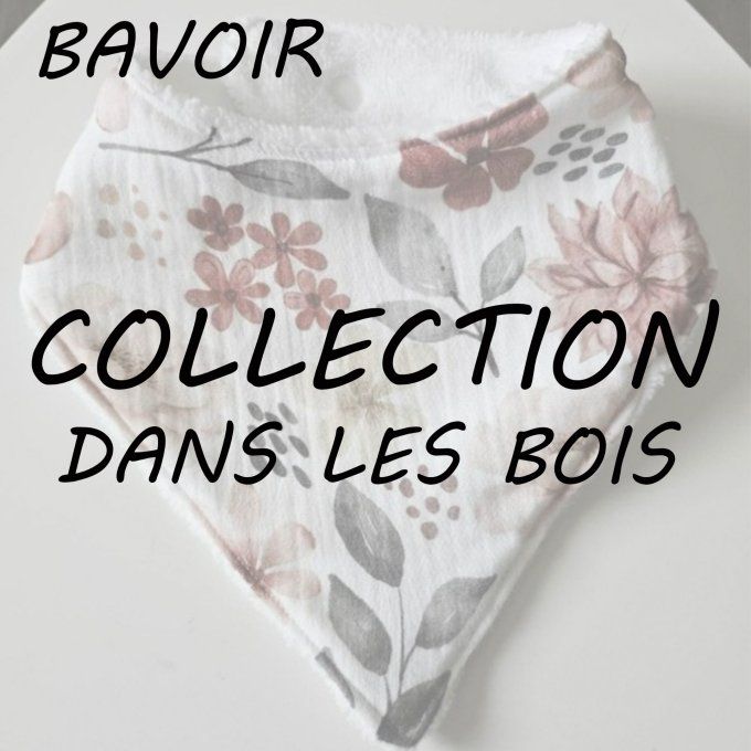 BAVOIR - COLLECTION DANS LES BOIS