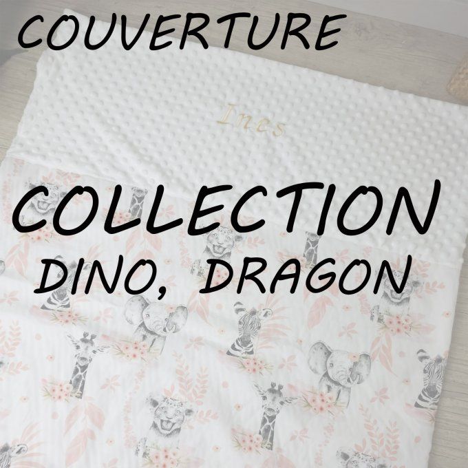 COUVERTURE - COLLECTION DINO, DRAGON