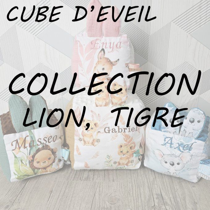 CUBE D'EVEIL - COLLECTION LION, TIGRE