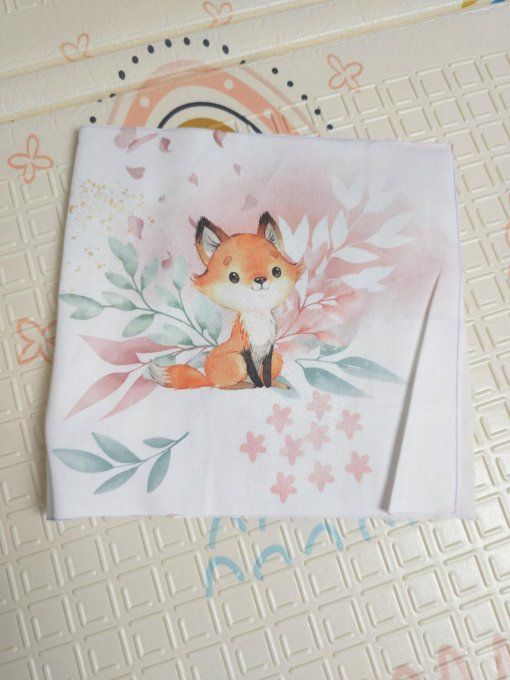 DESTOCKAGE - PROTEGE CARNET DE SANTE - Renard  