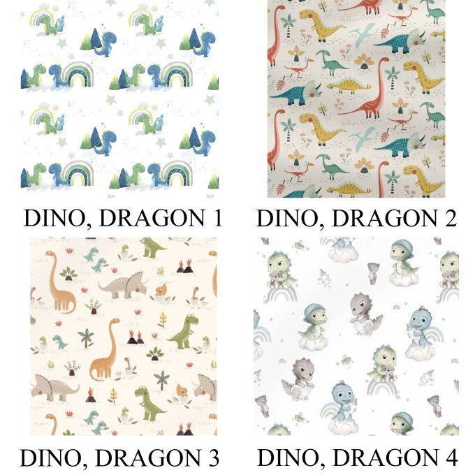 PROTEGE CARNET DE SANTE - COLLECTION DINO, DRAGON