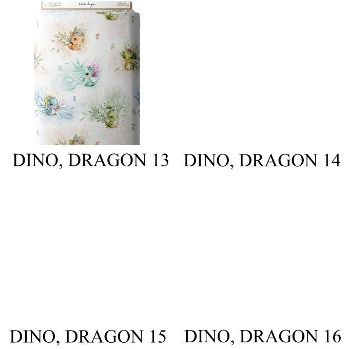 PROTEGE CARNET DE SANTE - COLLECTION DINO, DRAGON