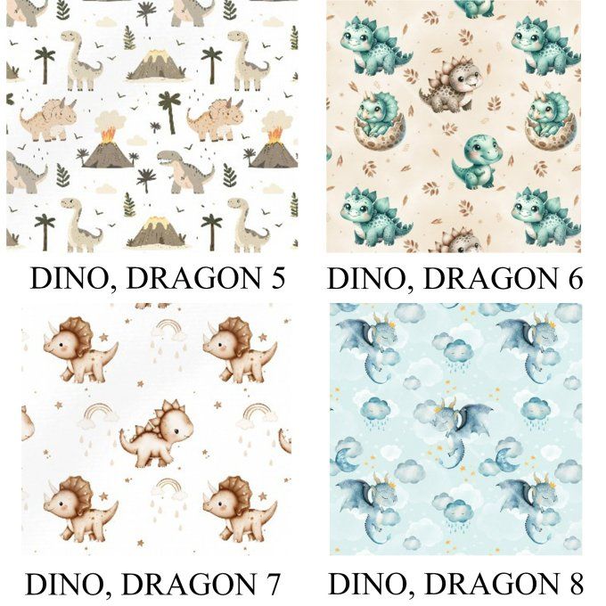PROTEGE CARNET DE SANTE - COLLECTION DINO, DRAGON