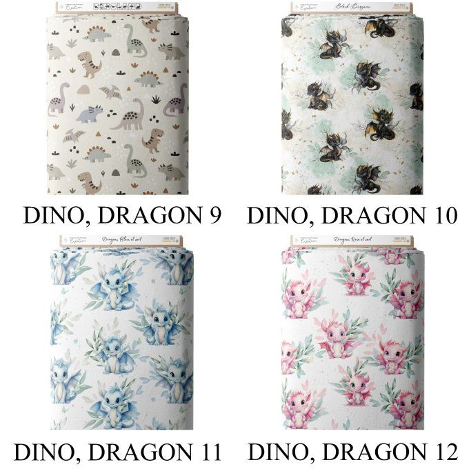 PROTEGE CARNET DE SANTE - COLLECTION DINO, DRAGON