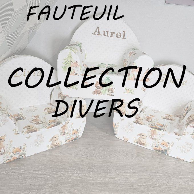 FAUTEUIL - COLLECTION DIVERS