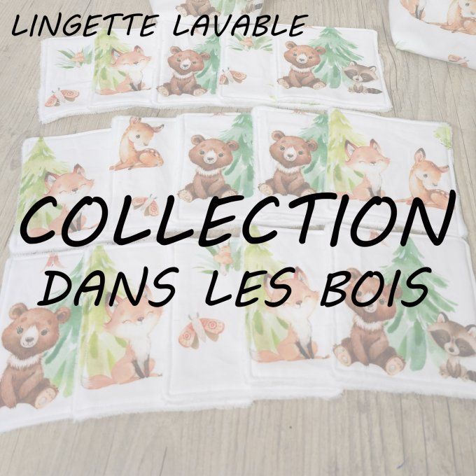 LINGETTE LAVABLE - COLLECTION DANS LES BOIS
