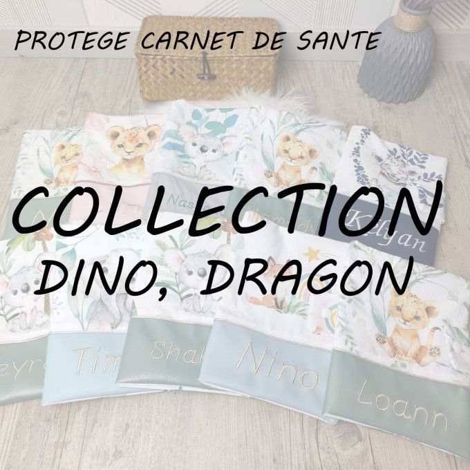PROTEGE CARNET DE SANTE - COLLECTION DINO, DRAGON