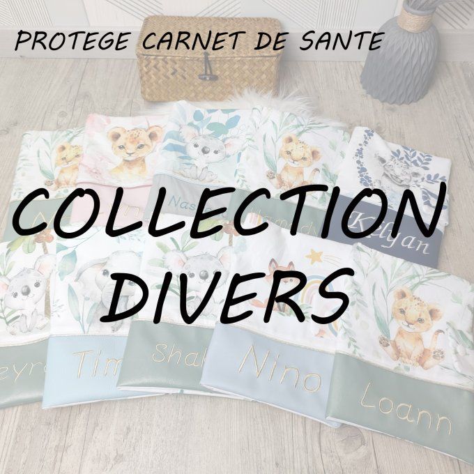 PROTEGE CARNET DE SANTE - COLLECTION DIVERS